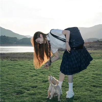 坏蛋